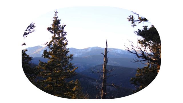 Elliptical Crop Effect on Image Hover