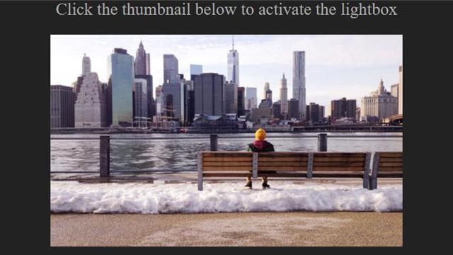 Photo Thumbnail with Zoom Effect on Click